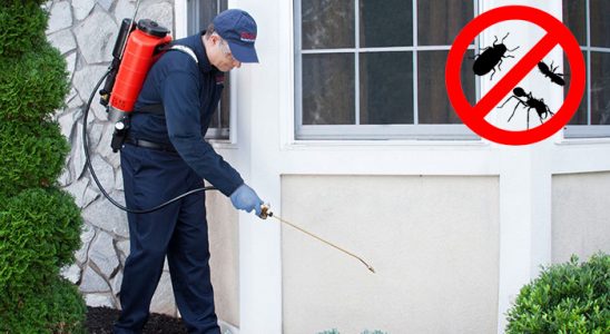 Şenpazar Kemirgen İlaçlama böcek ilaçlama ve haşere kontrolü — ilaclama-tr.com